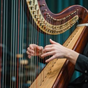 rainbow color harmonica 22 04 26